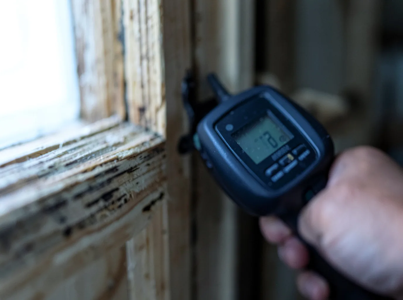 Moisture Inspection And Documentation in Burgess, VA